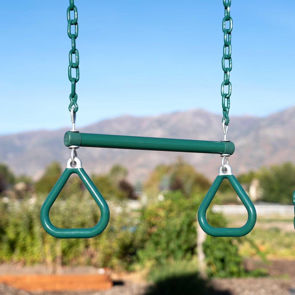 Lifetime Big Stuff Swing Set (Earthtone) - 91069