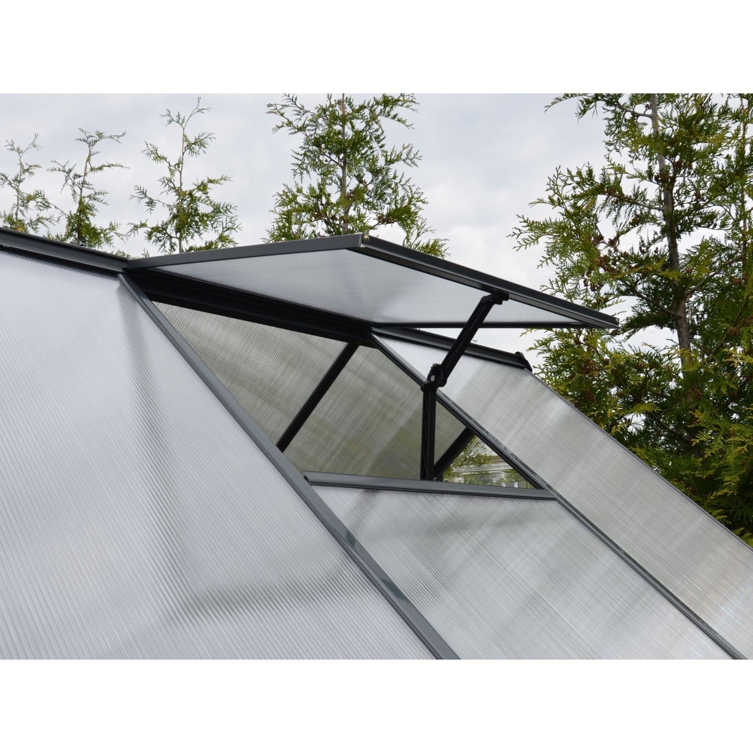 Palram - Canopia | 6x10 Ft Mythos Greenhouse Kit - Gray With 4mm Twin-wall Polycarbonate Glazing